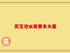 灵芝泡水需要多大量