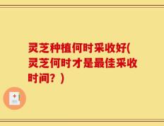 灵芝种植何时采收好(灵芝何时才是最佳采收时间？)
