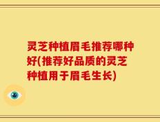 灵芝种植眉毛推荐哪种好(推荐好品质的灵芝种植用于眉毛生长)
