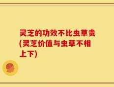 灵芝的功效不比虫草贵(灵芝价值与虫草不相上下)