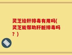 灵芝给肝排毒有用吗(灵芝能帮助肝脏排毒吗？)