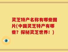 灵芝特产名称有哪些图片(中国灵芝特产有哪些？探秘灵芝世界！)