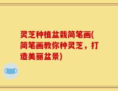 灵芝种植盆栽简笔画(简笔画教你种灵芝，打造美丽盆景)
