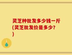 灵芝种批发多少钱一斤(灵芝批发价是多少？)