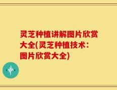 灵芝种植讲解图片欣赏大全(灵芝种植技术：图片欣赏大全)