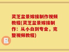 灵芝盆景嫁接制作视频教程(灵芝盆景嫁接制作：从小白到专业，完整视频教程)