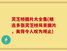 灵芝桥图片大全集(精选多张灵芝桥风景图片，美得令人叹为观止)