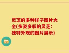 灵芝的多种样子图片大全(多姿多彩的灵芝：独特外观的图片展示)