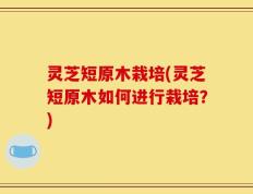 灵芝短原木栽培(灵芝短原木如何进行栽培？)