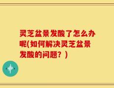 灵芝盆景发酸了怎么办呢(如何解决灵芝盆景发酸的问题？)