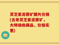 灵芝紫泥原矿图片价格(古老灵芝紫泥原矿，大师级收藏品，价格实惠)
