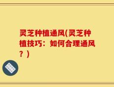 灵芝种植通风(灵芝种植技巧：如何合理通风？)