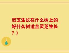 灵芝生长在什么树上的好什么树适合灵芝生长？)