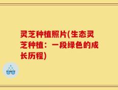 灵芝种植照片(生态灵芝种植：一段绿色的成长历程)