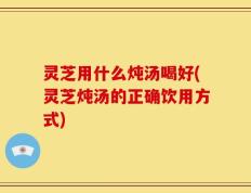 灵芝用什么炖汤喝好(灵芝炖汤的正确饮用方式)