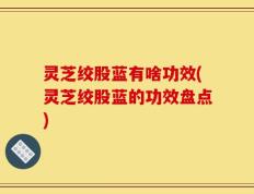 灵芝绞股蓝有啥功效(灵芝绞股蓝的功效盘点)