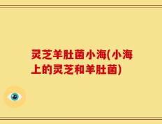 灵芝羊肚菌小海(小海上的灵芝和羊肚菌)