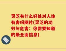 灵芝有什么好处对人体有害吗图片(灵芝的功效与危害：你需要知道的最全面信息)