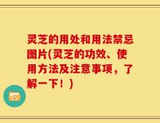 灵芝的用处和用法禁忌图片(灵芝的功效、使用方法及注意事项，了解一下！)