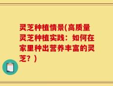 灵芝种植情景(高质量灵芝种植实践：如何在家里种出营养丰富的灵芝？)