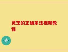 灵芝的正确采法视频教程