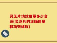 灵芝片功效用量多少合适(灵芝片的正确用量和功效建议)