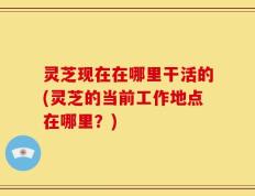 灵芝现在在哪里干活的(灵芝的当前工作地点在哪里？)