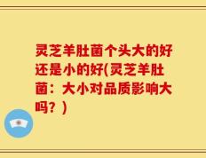 灵芝羊肚菌个头大的好还是小的好(灵芝羊肚菌：大小对品质影响大吗？)