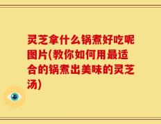 灵芝拿什么锅煮好吃呢图片(教你如何用最适合的锅煮出美味的灵芝汤)