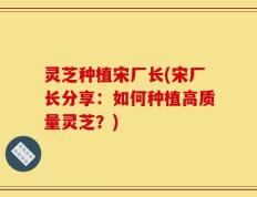 灵芝种植宋厂长(宋厂长分享：如何种植高质量灵芝？)
