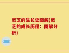 灵芝的生长史图解(灵芝的成长历程：图解分析)