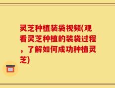 灵芝种植装袋视频(观看灵芝种植的装袋过程，了解如何成功种植灵芝)