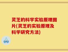 灵芝的科学实验原理图片(灵芝的实验原理及科学研究方法)