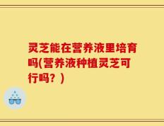 灵芝能在营养液里培育吗(营养液种植灵芝可行吗？)