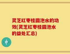 灵芝红枣桂圆泡水的功效(灵芝红枣桂圆泡水的益处汇总)
