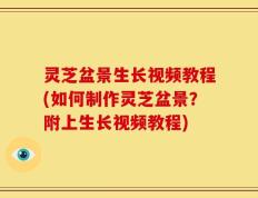 灵芝盆景生长视频教程(如何制作灵芝盆景？附上生长视频教程)