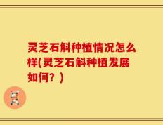 灵芝石斛种植情况怎么样(灵芝石斛种植发展如何？)