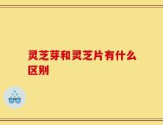 灵芝芽和灵芝片有什么区别