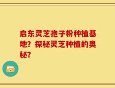 启东灵芝孢子粉种植基地？探秘灵芝种植的奥秘？