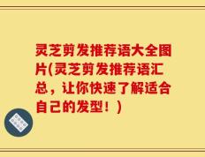 灵芝剪发推荐语大全图片(灵芝剪发推荐语汇总，让你快速了解适合自己的发型！)