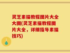 灵芝素描教程图片大全大图(灵芝素描教程图片大全，详细指导素描技巧)