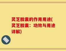 灵芝胶囊的作用用途(灵芝胶囊：功效与用途详解)