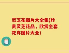 灵芝花图片大全集(珍贵灵芝花品，欣赏全套花卉图片大全)