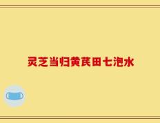 灵芝当归黄芪田七泡水
