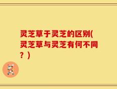 灵芝草于灵芝的区别(灵芝草与灵芝有何不同？)