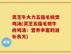 灵芝牛大力五指毛桃煲鸡汤(灵芝五指毛桃牛肉鸡汤：营养丰富的滋补良方)