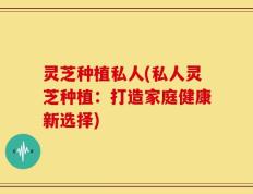 灵芝种植私人(私人灵芝种植：打造家庭健康新选择)