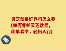 灵芝盆景好养吗怎么养(如何养护灵芝盆景，简单易学，轻松入门)