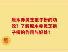 原木赤灵芝孢子粉的功效？了解原木赤灵芝孢子粉的作用与好处？