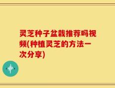 灵芝种子盆栽推荐吗视频(种植灵芝的方法一次分享)